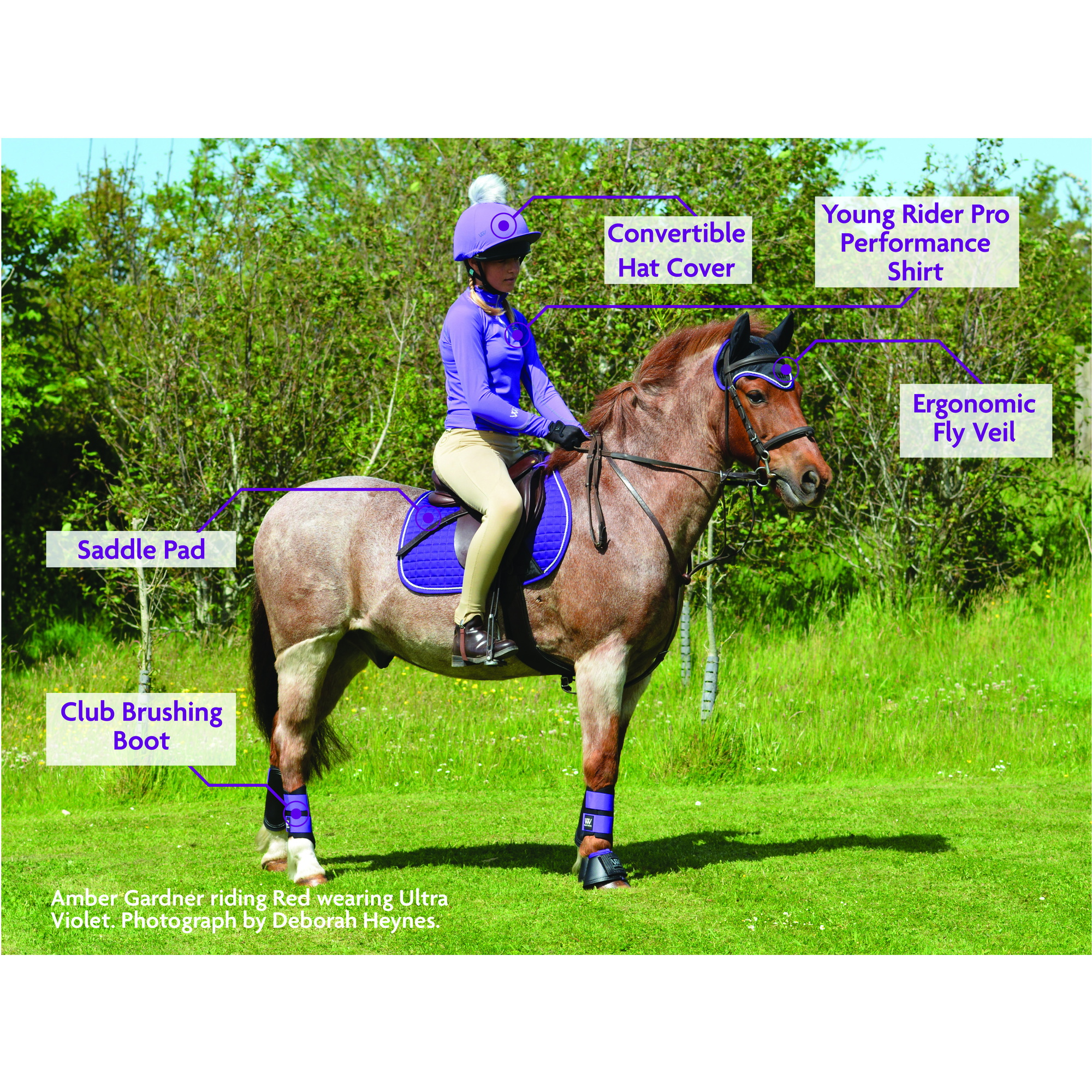 Woof Wear Convertible Riding Hat Cover  - Ultra Violet